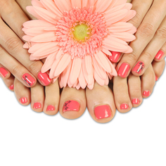 ESMALTES Y REMOVEDORES