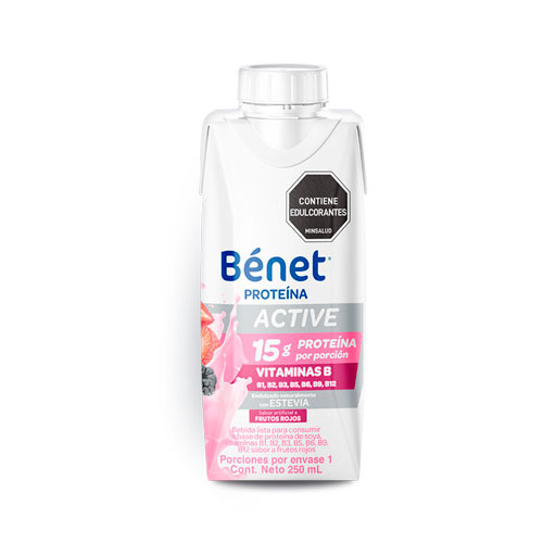 BENET ACTIVE FRUTOS ROJOS X 250 ML
